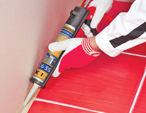 Sealants Durable and Aesthetic Complements to Structures 1